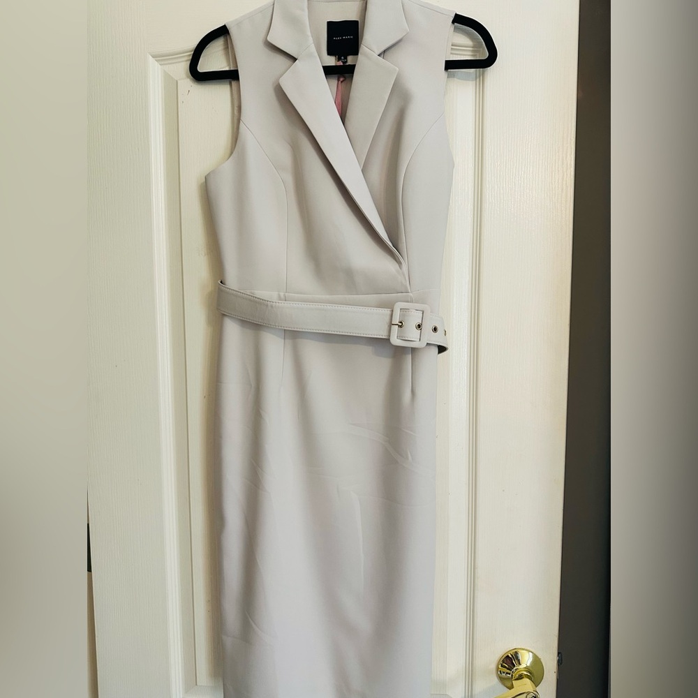 Alex Marie Dress - NWT